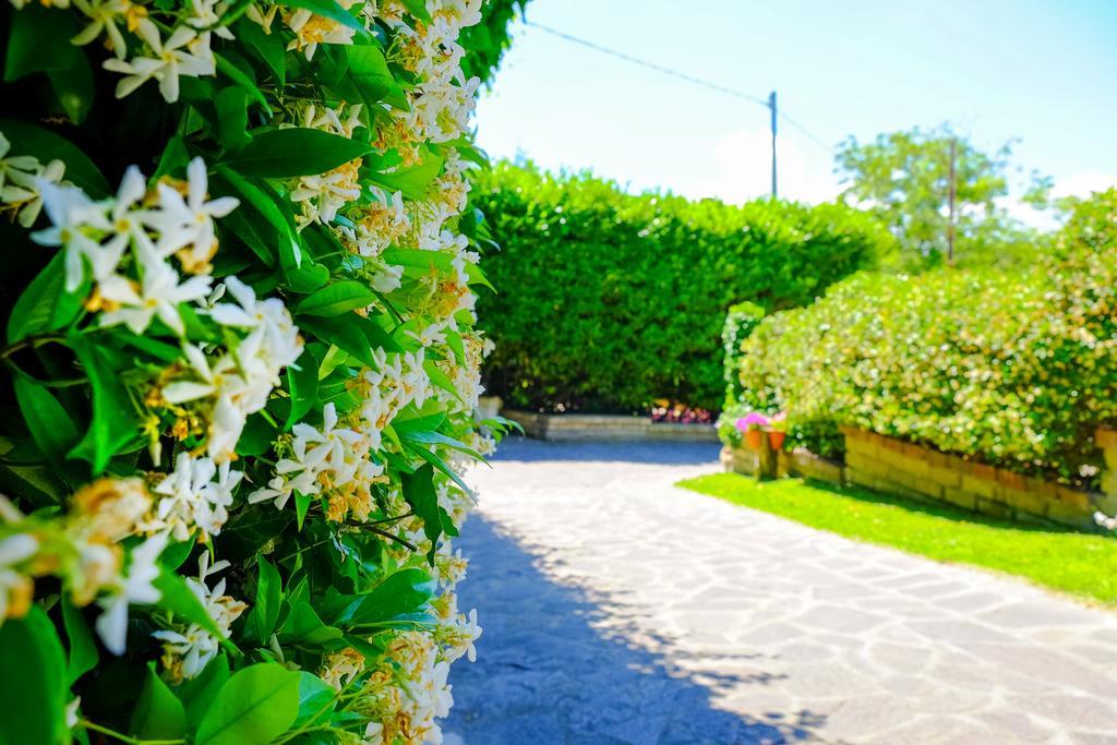 Bed and Breakfast La Dolce Sosta Campagnano Di Roma Exterior foto